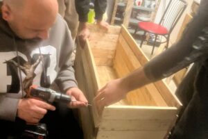 UP building planters